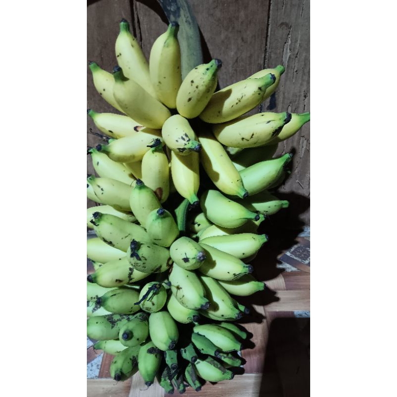 

Pisang Ulin / pisang Raja Uli 1 Tundun Murah enak Manis isi 5 - 7 sisir