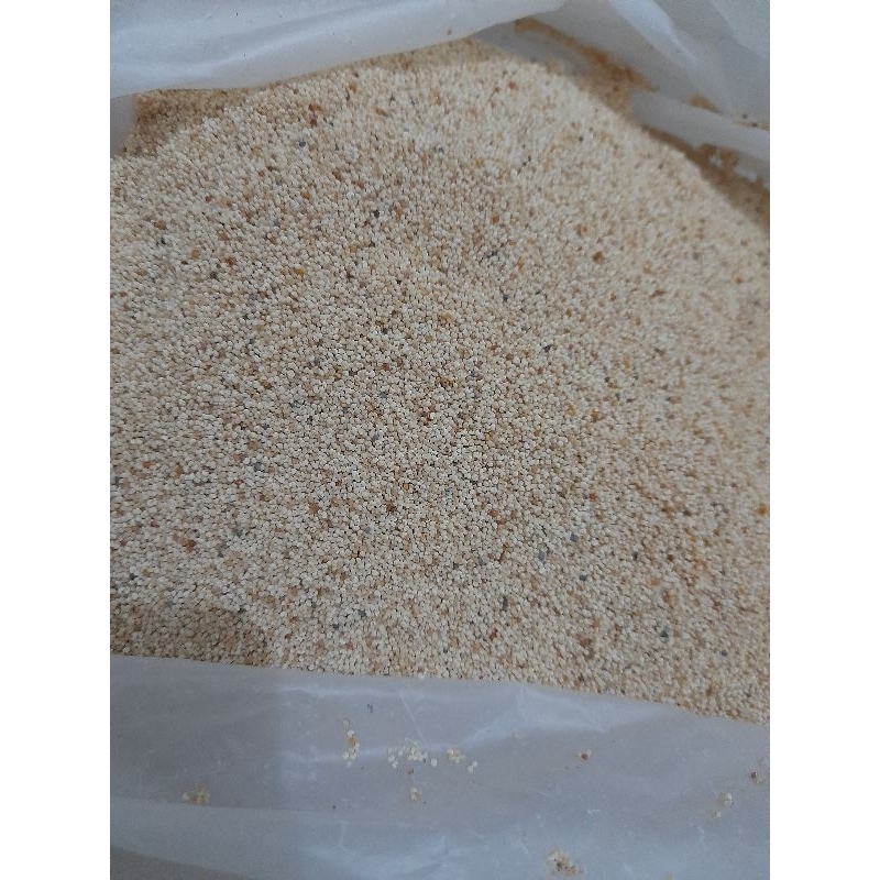 

kas kas White poppy seed