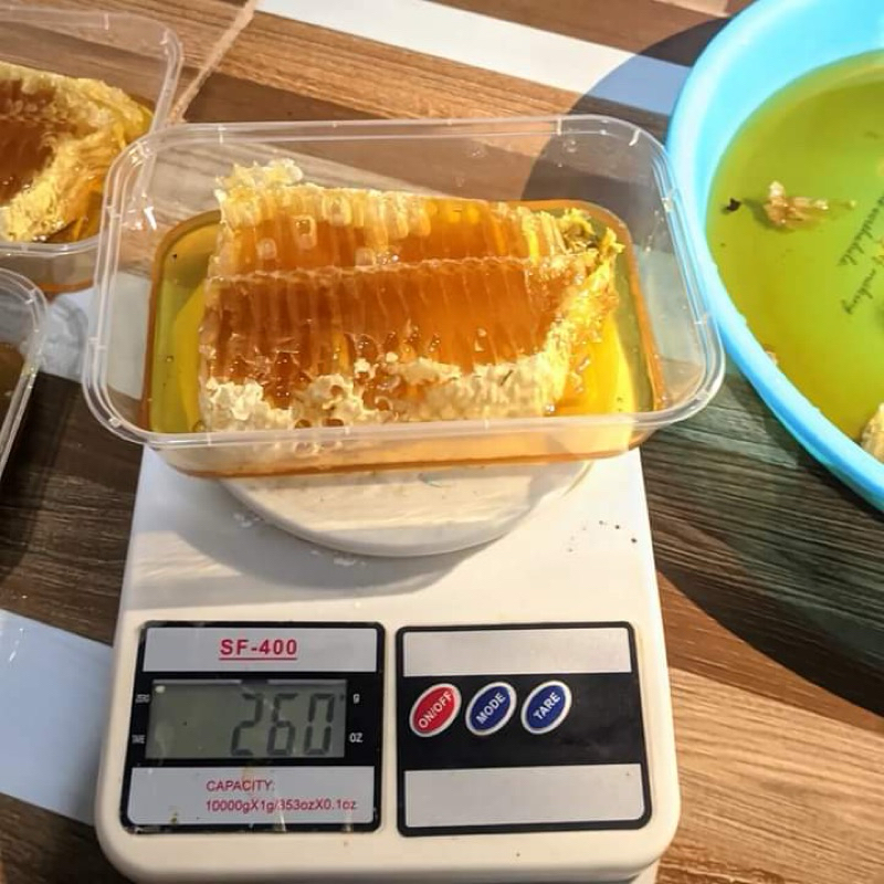 

Madu Liar atau Madu Hutan