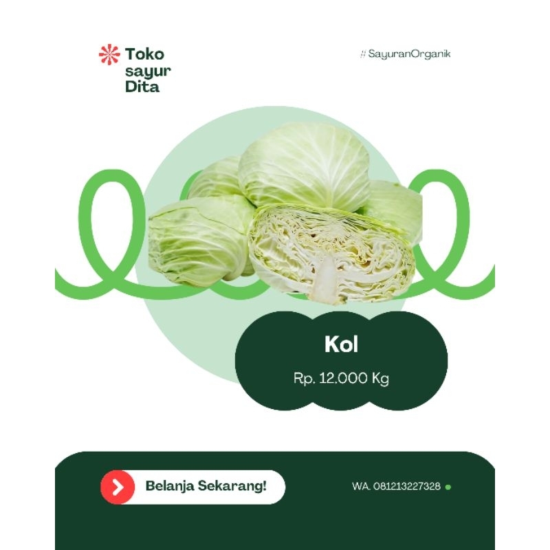 

Kol putih per pcs