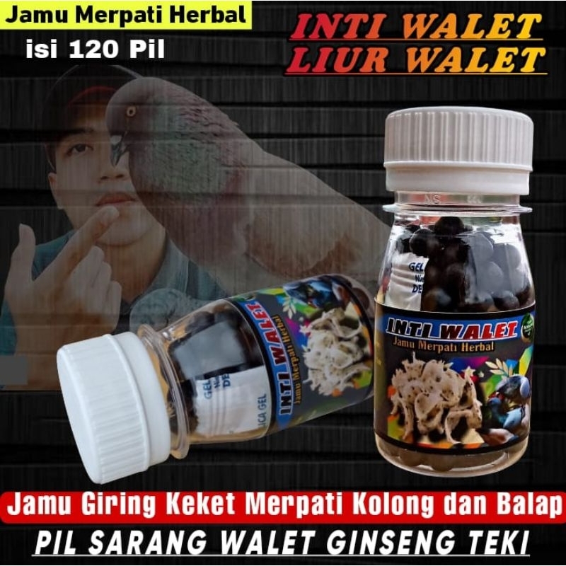 INTI LIUR WALET ISI 120 PIL merpati cepat giring Keket keras dalam 1 hari_jamu extra ginseng teki ko