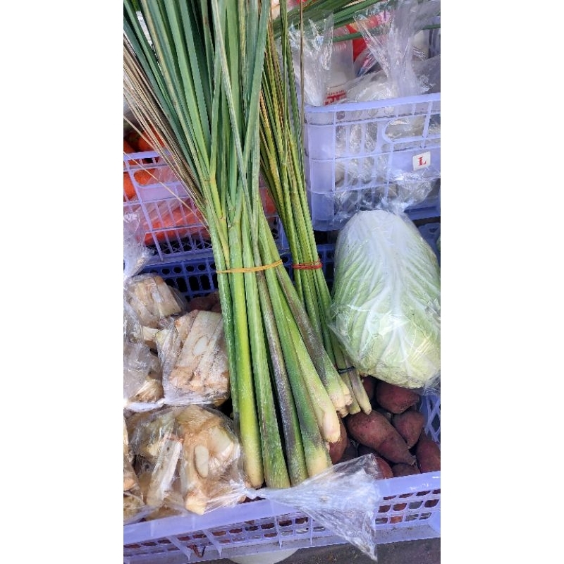 

COD INSTAN 1 ikat sereh serai sere lemon grass