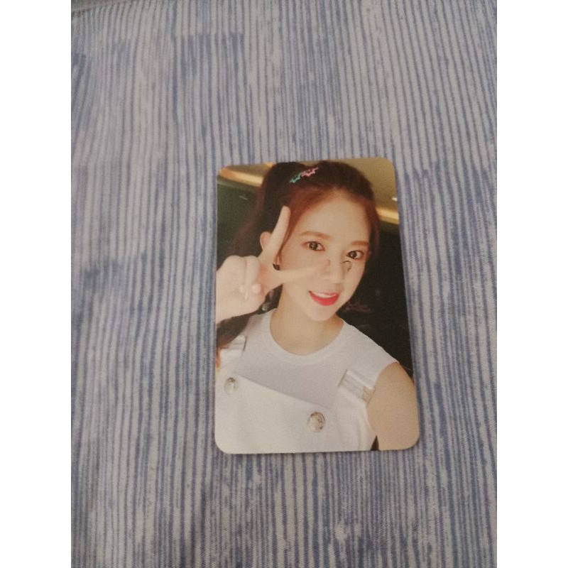 Photocard Daisy Momoland slight