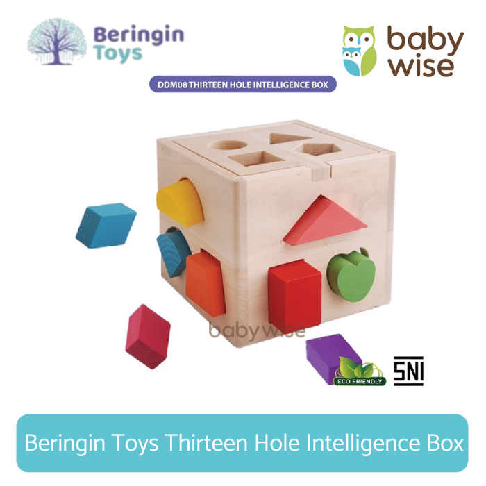 Beringin Toys Thirteen Hole Intelligence Box - Mainan Balok - Matching Puzzle