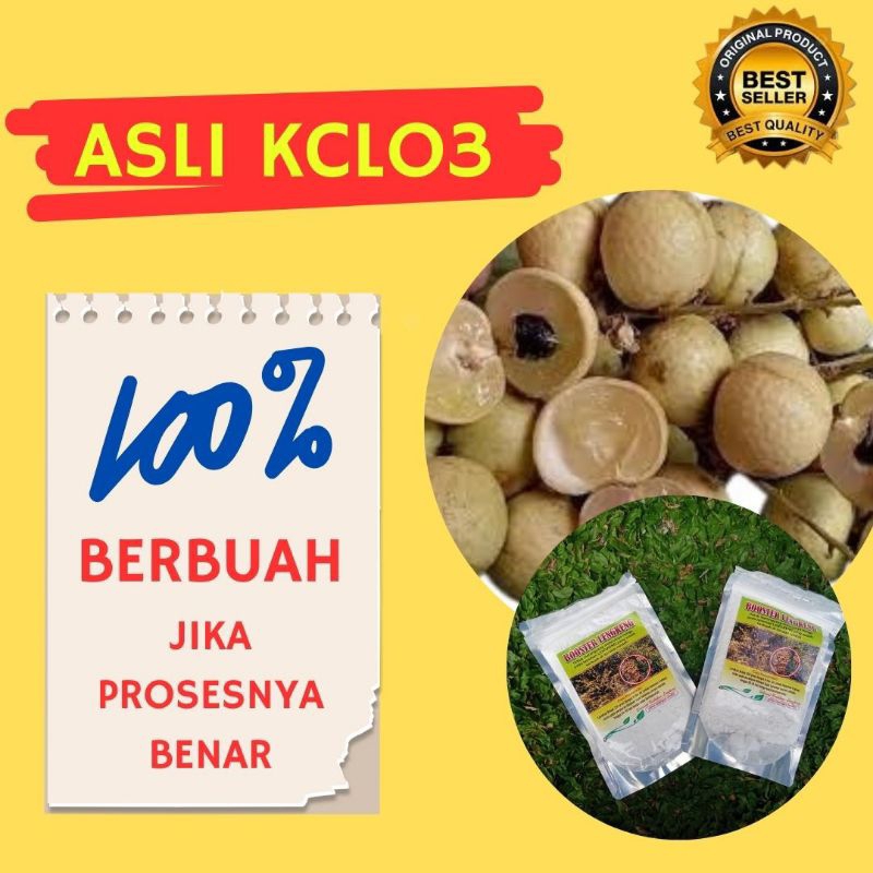 JAMIN ASLI.. Booster kelengkeng kclo3 murni
