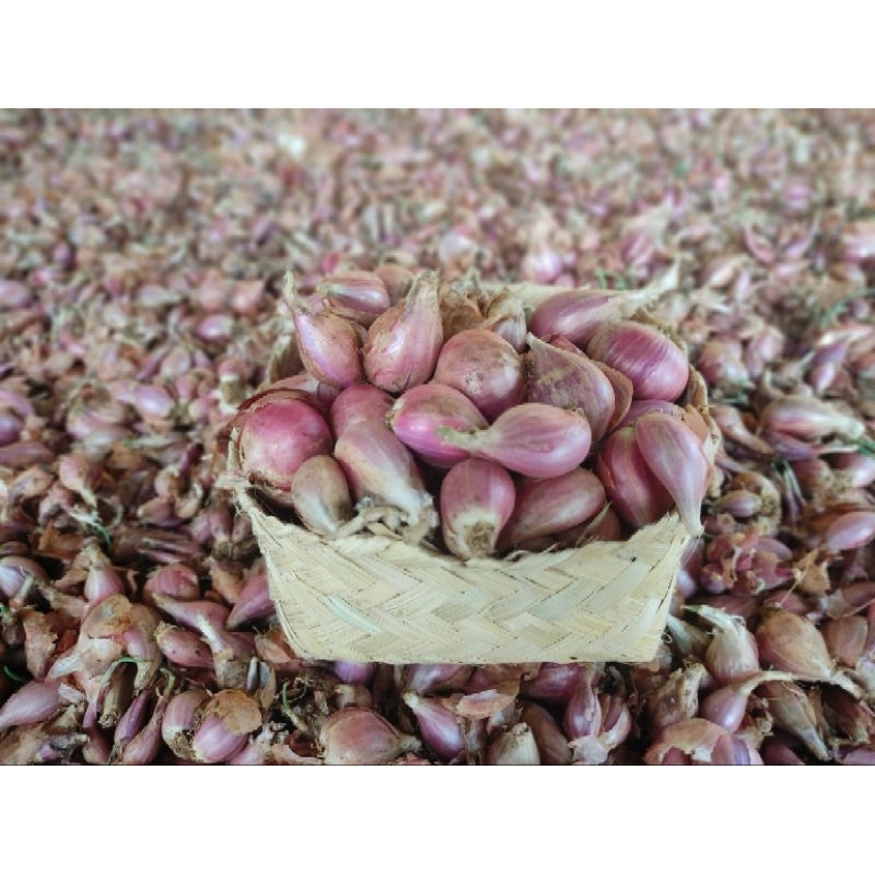 Bawang Merah Sumenep