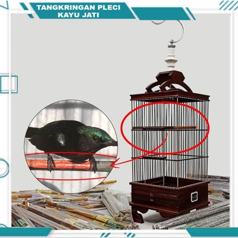 TANGKRINGAN PLECI KAYU JATI SEMPATI TANGKRINGAN SANGKAR KANDANG BURUNG PLECI KOLIBRI CIBLEK