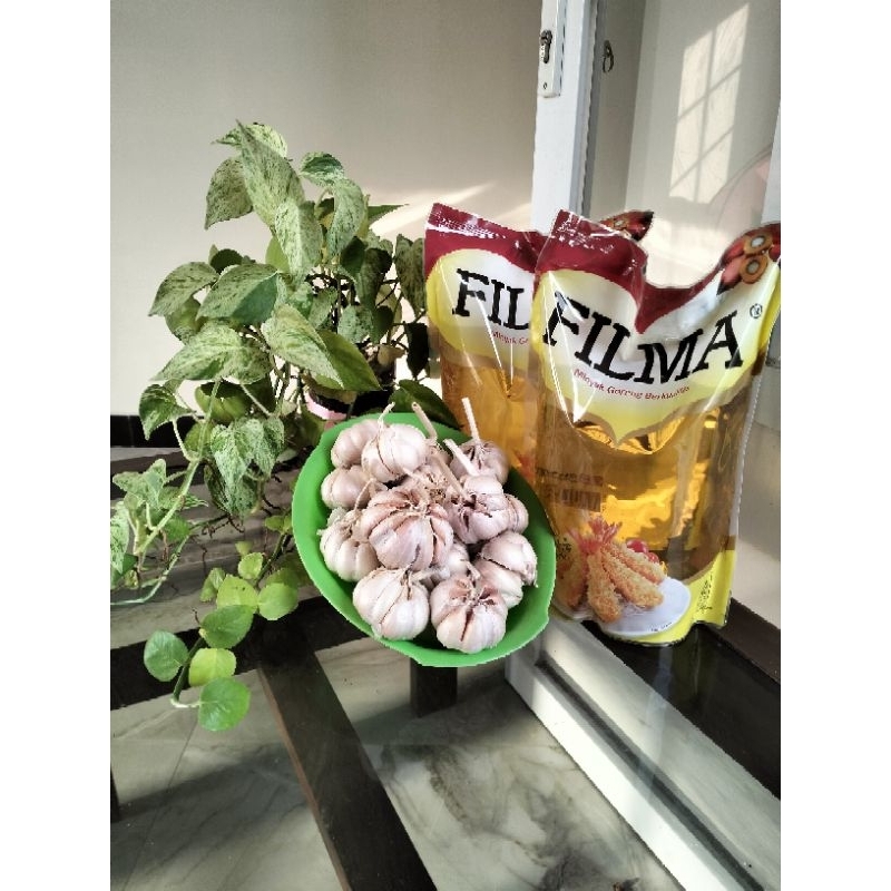 

Minyak Goreng Filma 2 liter