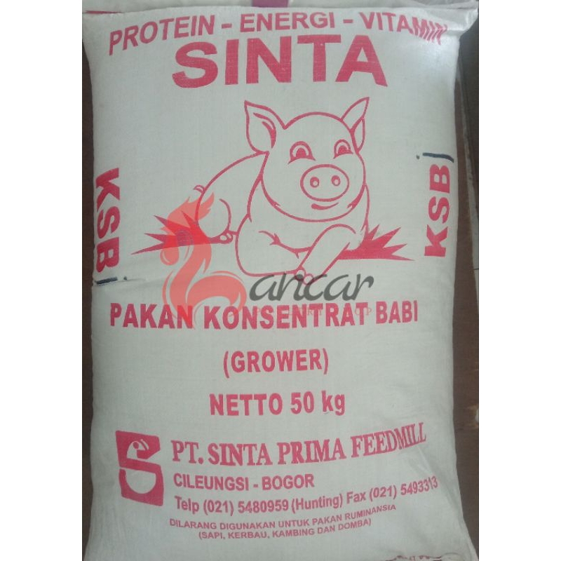 KONSENTRAT BABI KILOAN