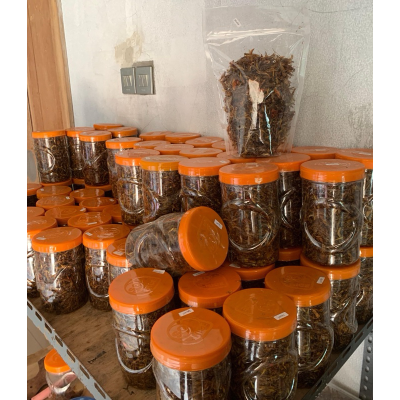 

BELALANG GORENG utis kecil