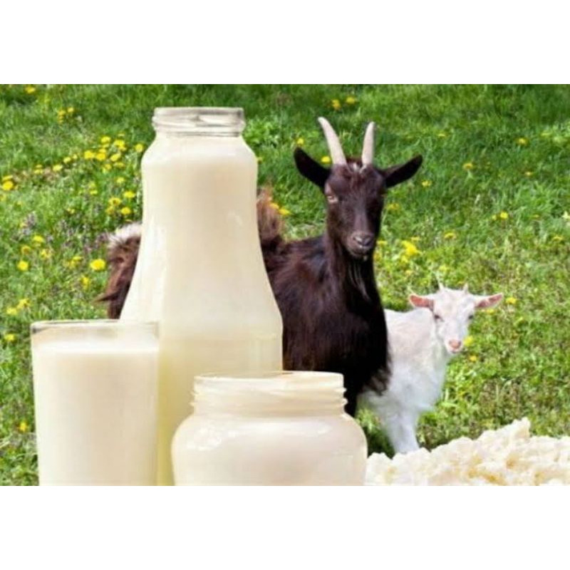 

ETTAWA SUSU MURNI BEBAS PENGAWET