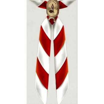 Pro sale Hasduk Pramuka SD SMP SMA Pembina Guru Kacu Pramuka SD SMP SMA Pembina Guru Hasduk Dasi Pra