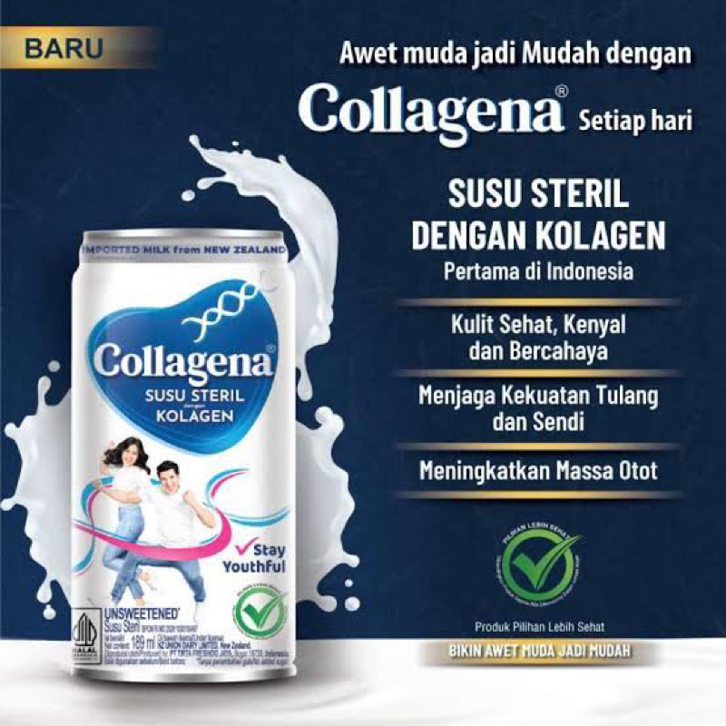 Collagena susu steril