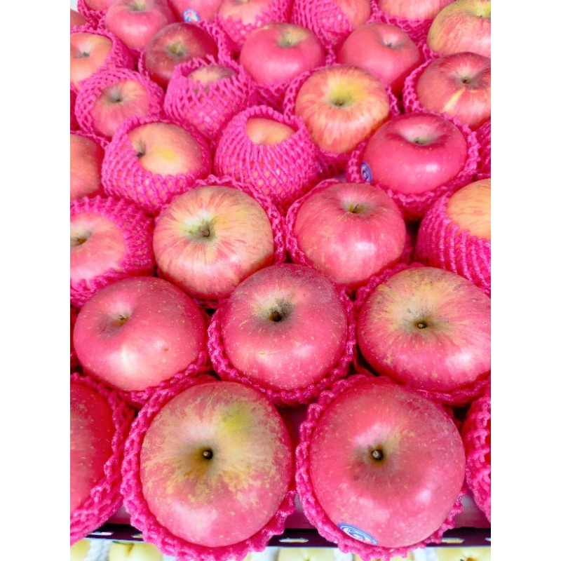 

Apel Fuji Grade A Manis Renyah 1 kg isi 5-6 buah kirim instan area solo dan sekitarnya