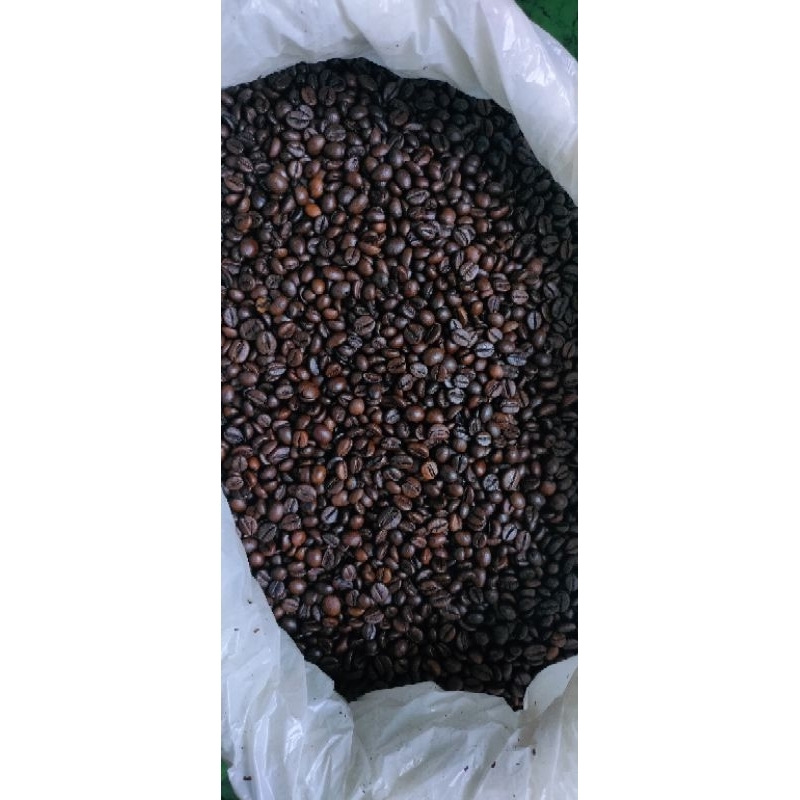 

biji kopi robusta dampit