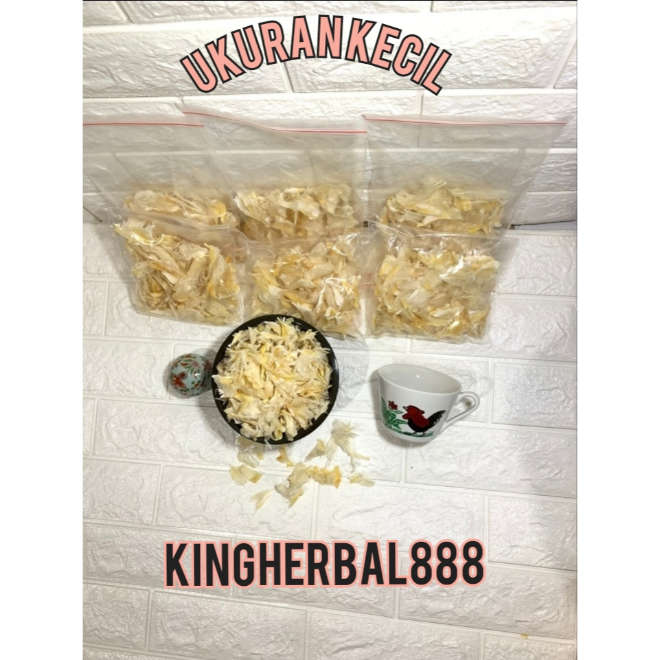 

SIRIP HIU HISIT HECHI UKURAN 0-6CM PER 50GR