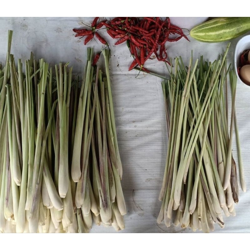 

batang sereh segar 500g