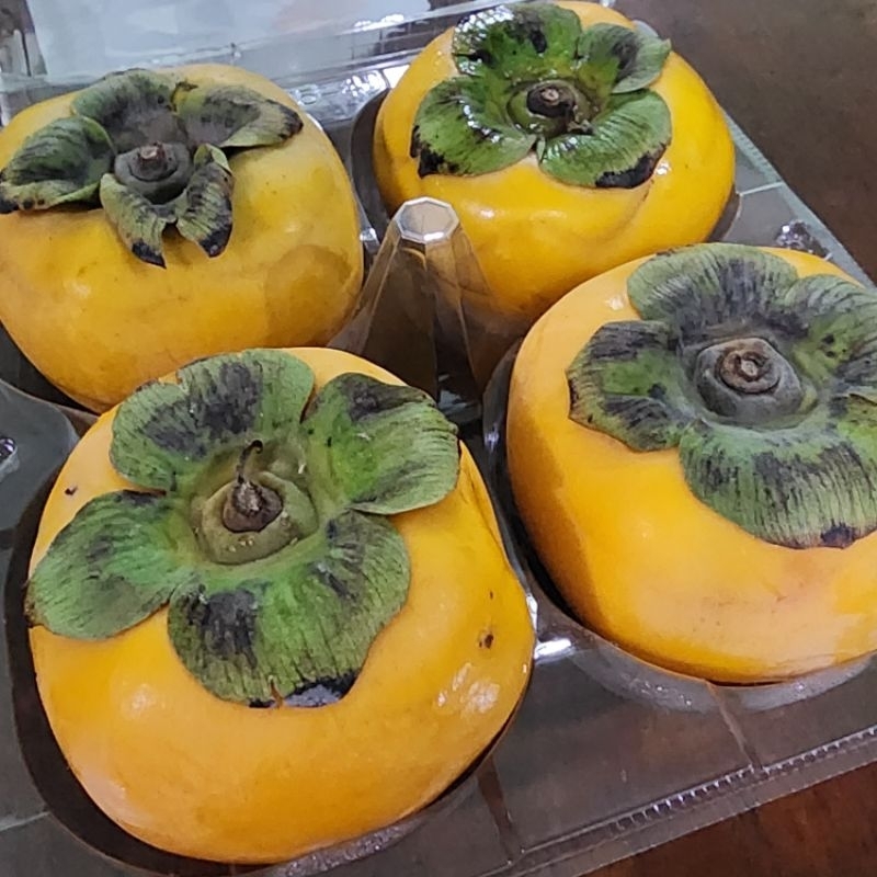 

Persimmon - Kesemek