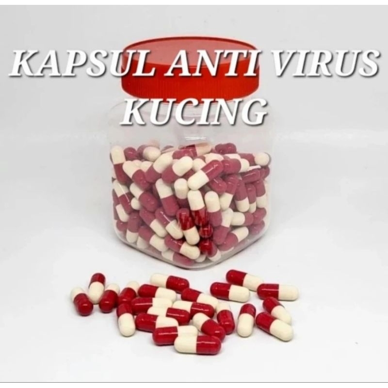 Obat Anti Virus Kucing Kapsul Anti Virus Kucing Calici Distemper Panleukopenia FPV Clamidia FIP Immu