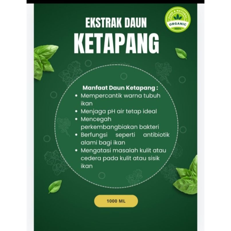 

extra daun ketapang 1 liter