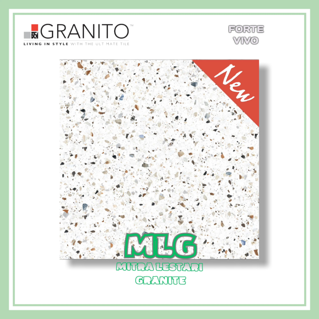 Granit Granito Vivo 60x60