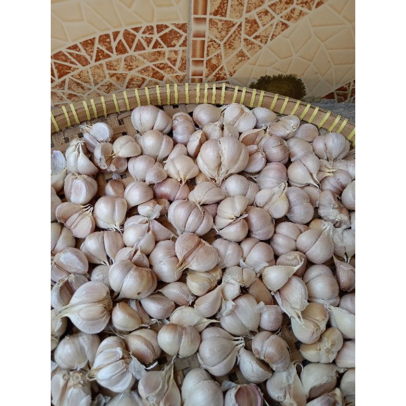 

BAWANG PUTIH KATING sudah bersih 500gr
