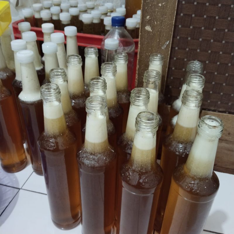 

madu asli lebah tawon