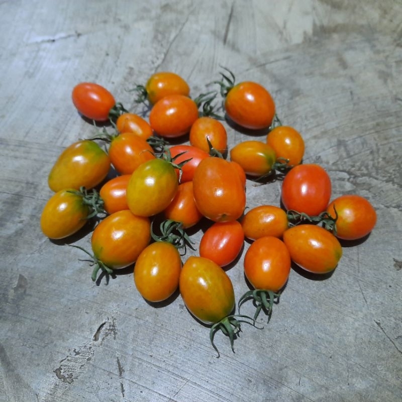 

tomat cherry 100 gram