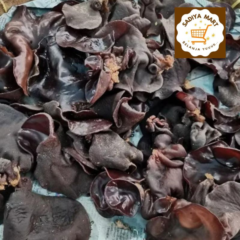 

Jamur kuping lember 100 gram, 250 gram