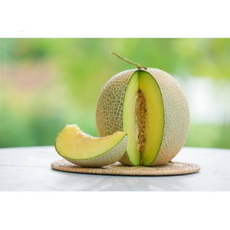 MURAH 100 BENIH MELON MADU HIJAU SUPER BIBIT UNGGUL
