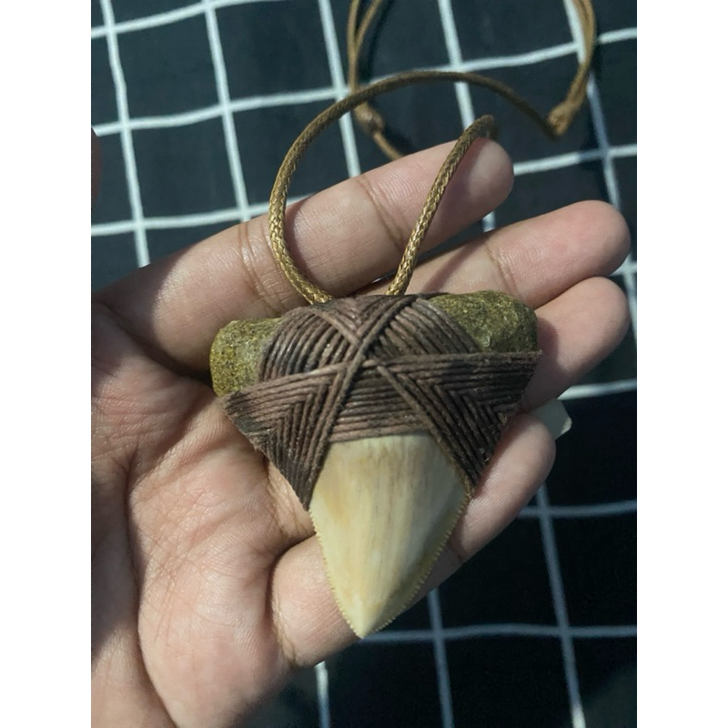 KALUNG FOSIL GIGI HIU