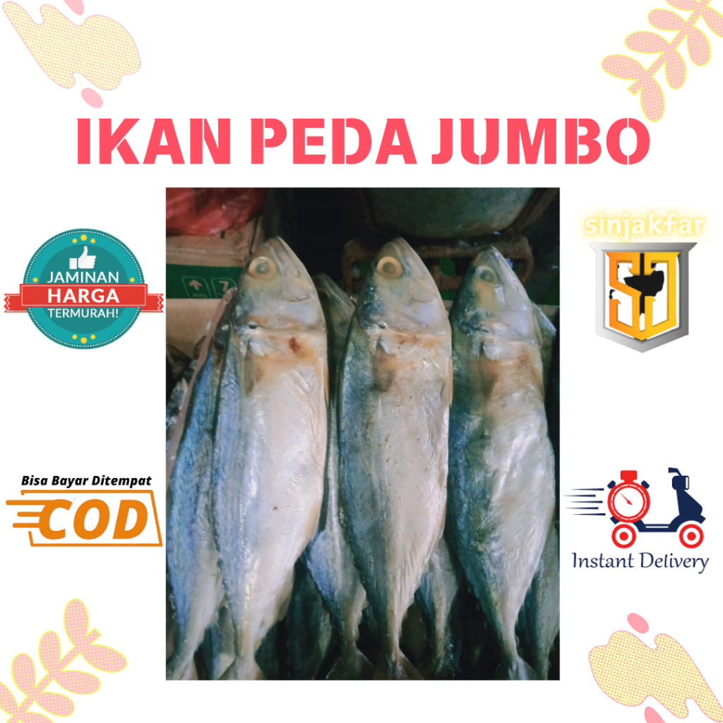 

Ikan Asin Peda 250gr-1kg Jumbo Terbaik Untuk Selera Anda