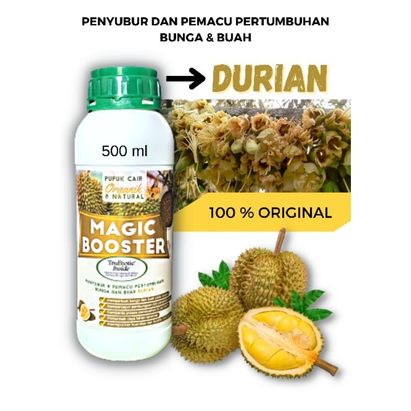PUPUK PEMACU BUNGA DURIAN, BUAH DURIAN, BUNGA TIDAK RONTOK