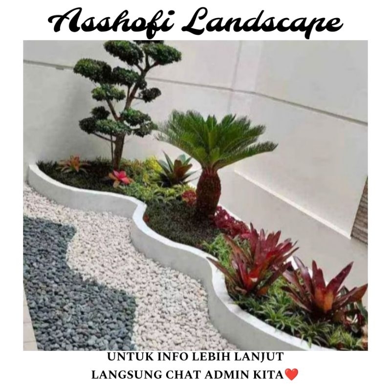 PEMBUATAN TEBING DEKORASI TAMAN MINIMALIS KOLAM IKAN HIAS BUNGA HIAS PASANG RUMPUT TAMAN JEPANG TANA