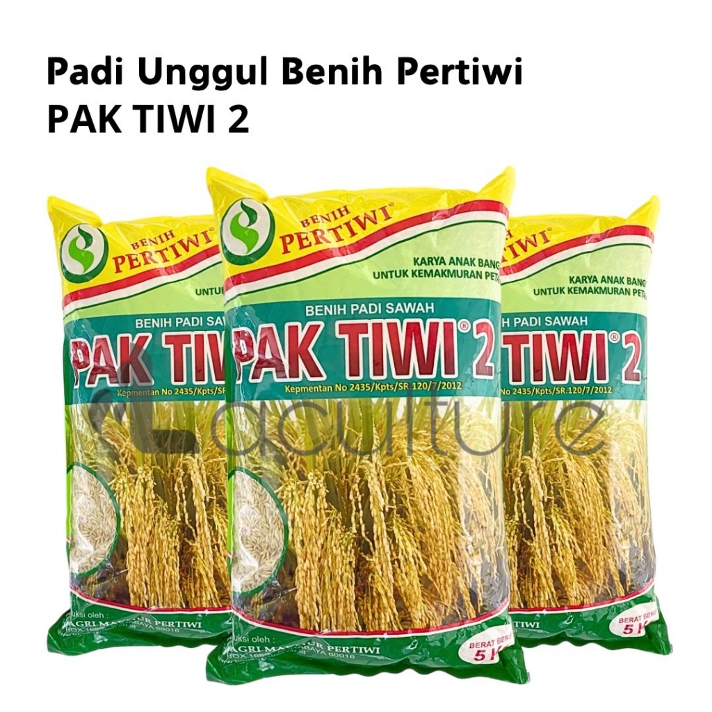 Benih Padi Sawah Unggul PAK TIWI 2 5 Kg Benih Pertiwi