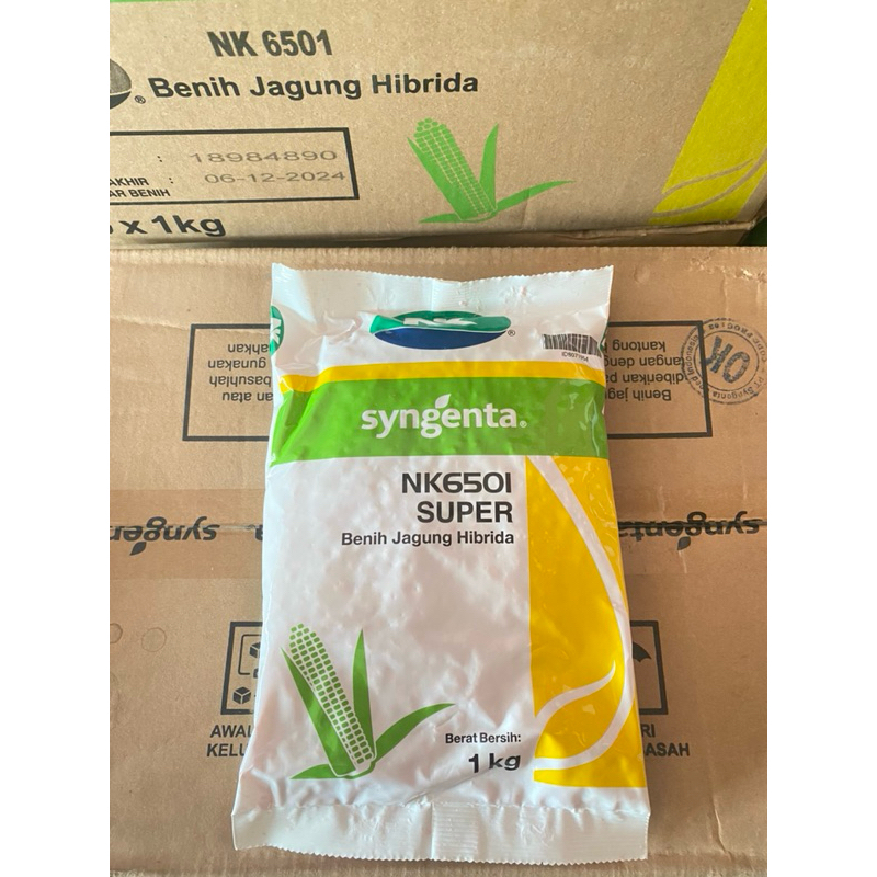 Benih Jagung Sygenta NK Super 6501