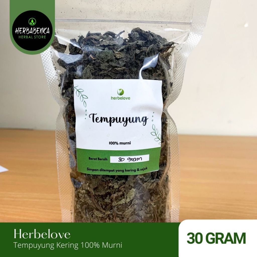 

HERBELOVE – TEMPUYUNG KERING 100% MURNI 30 GRAM