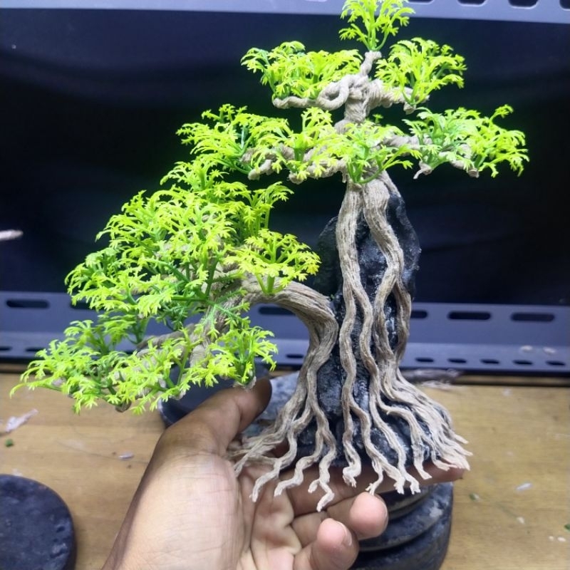 Bonsai Aquascape | Bonsai Plastik | Bonsai Replika | dekorasi Aquarium