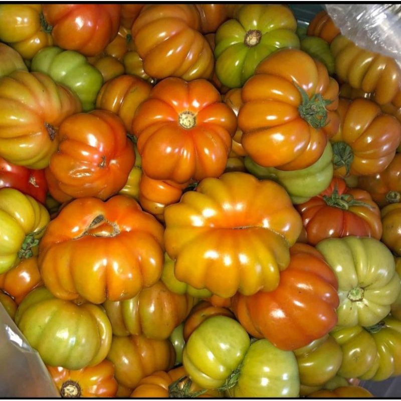 

TOMAT RANTI 500gr KHAS BANYUWANGI