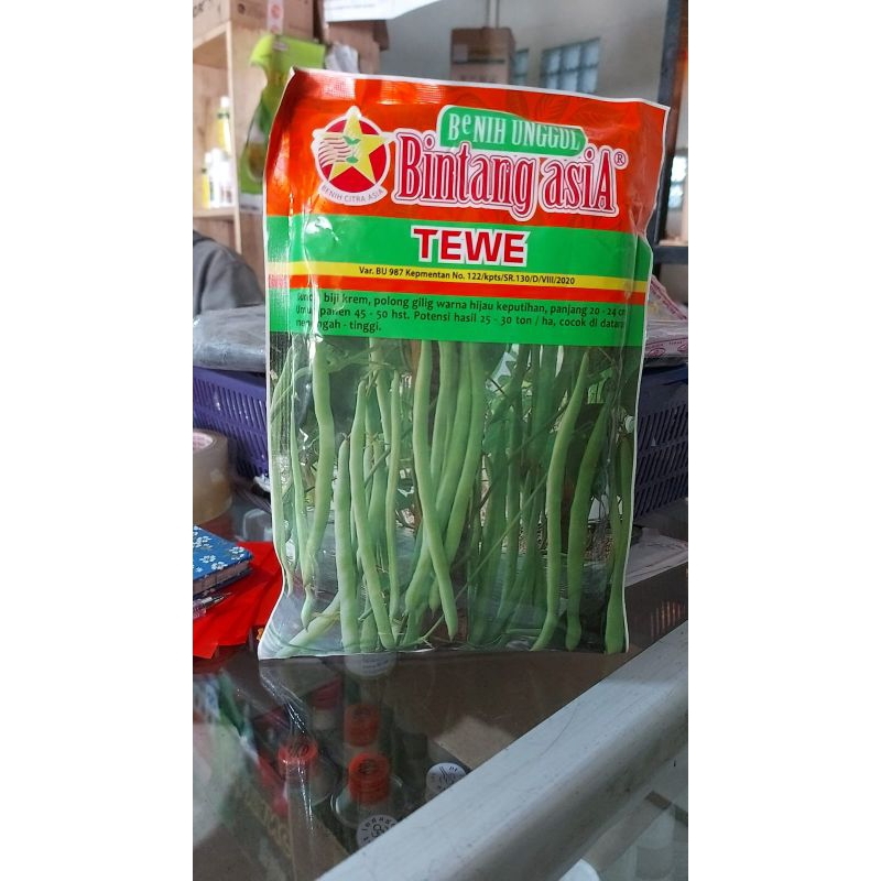 benih unggul Bintang asia tewe