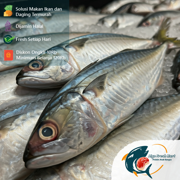 

[TERMURAH] Kembung Banjar Ekoran