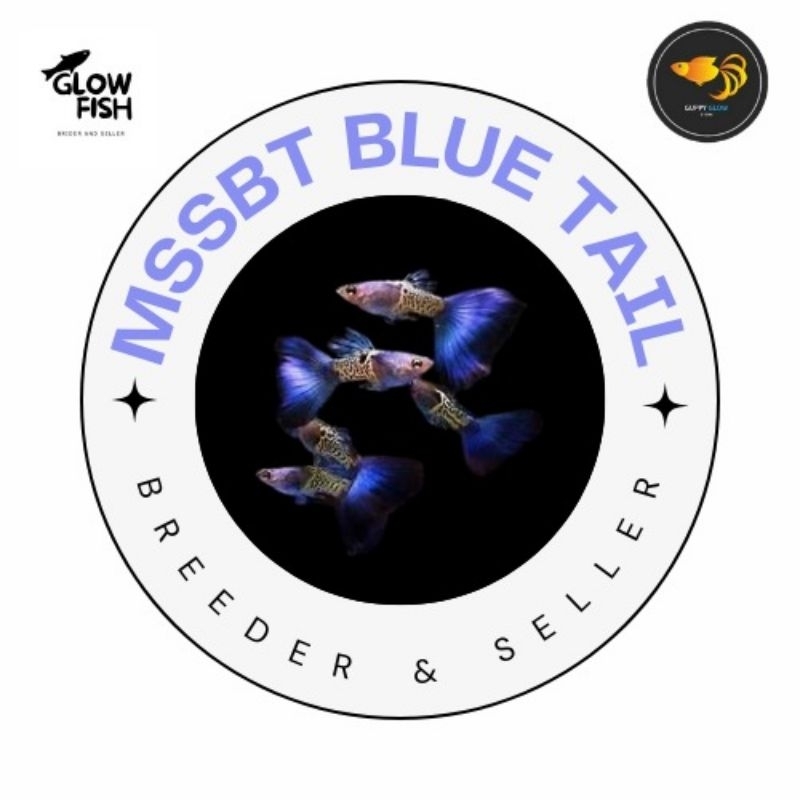 MSSBT SNAKE SKIN BLUE TAIL