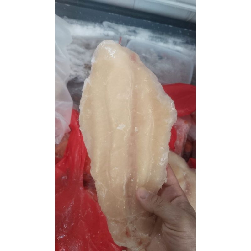 

Dori Fillet Kemasan 1 kg/pack