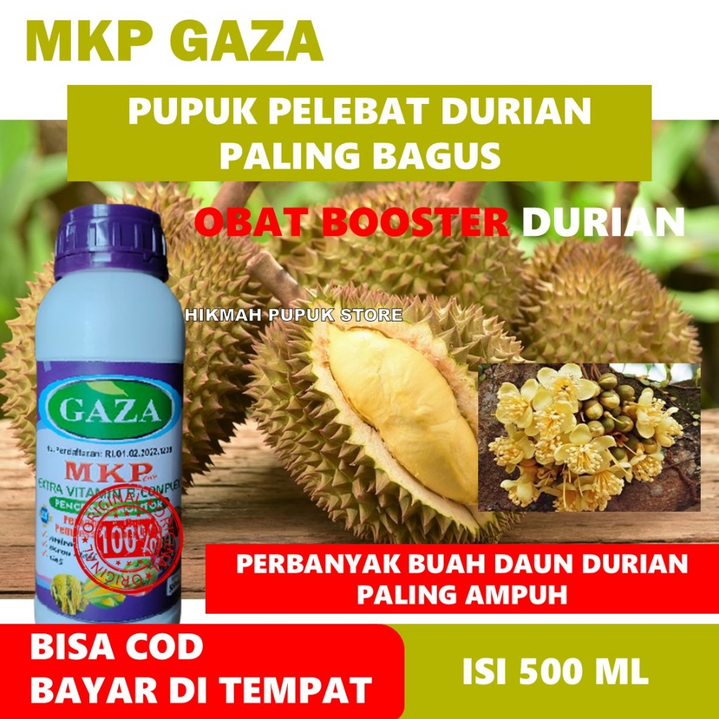 PUPUK PELEBAT DURIAN - OBAT CAIR MKP GAZA PERBANYAK NUTRISI BUAH DURIAN - PUPUK SEMPROT PEMBESAR BUA