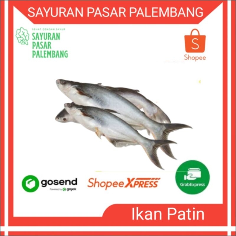 

Ikan Patin Fresh - Sayuran Pasar Palembang