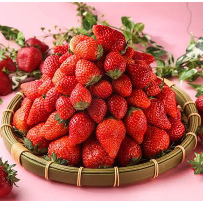 

LeBerry Aqua - Amaou