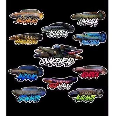 

Stiker Channa Random Banyak JP!!