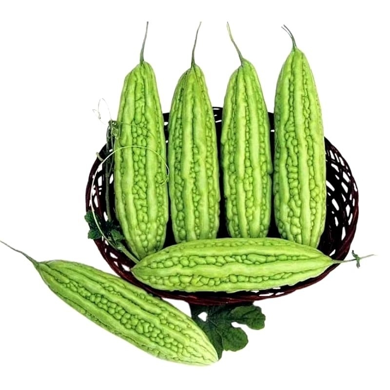 

Pare Ijo Segar