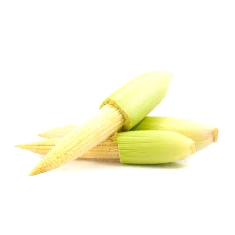 

Baby Corn 250gram-300gram | Puten Jagung Muda