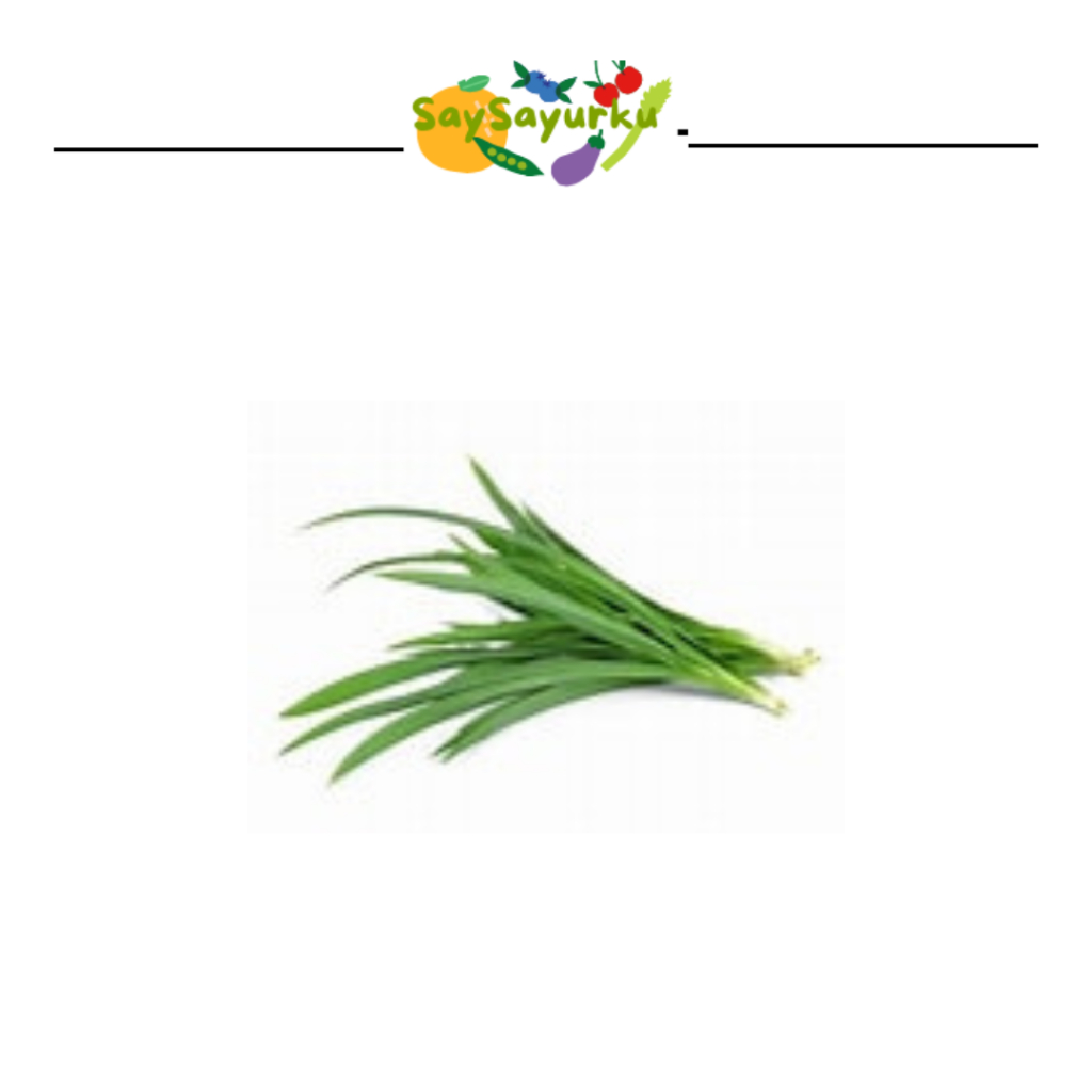 

DAUN PANDAN 1 IKAT